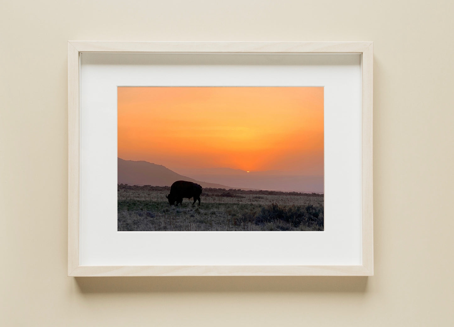Buffalo - Print