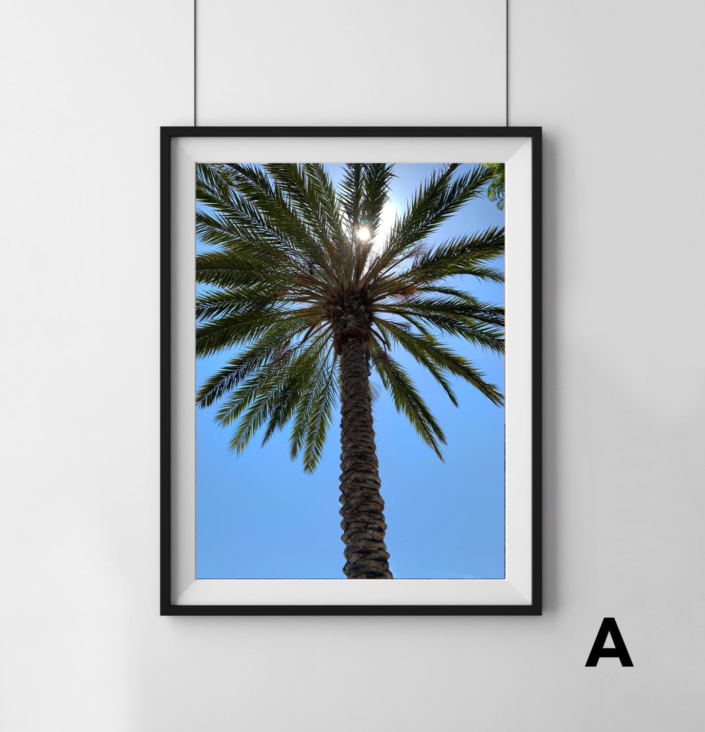 Palm Tree - Print