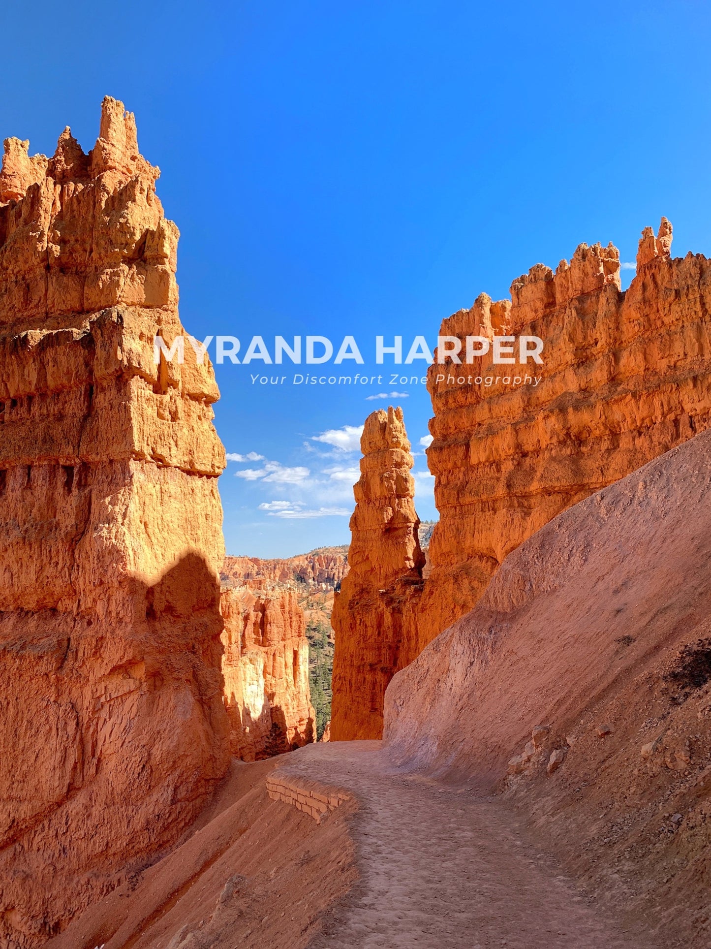Bryce Canyon Path - Print