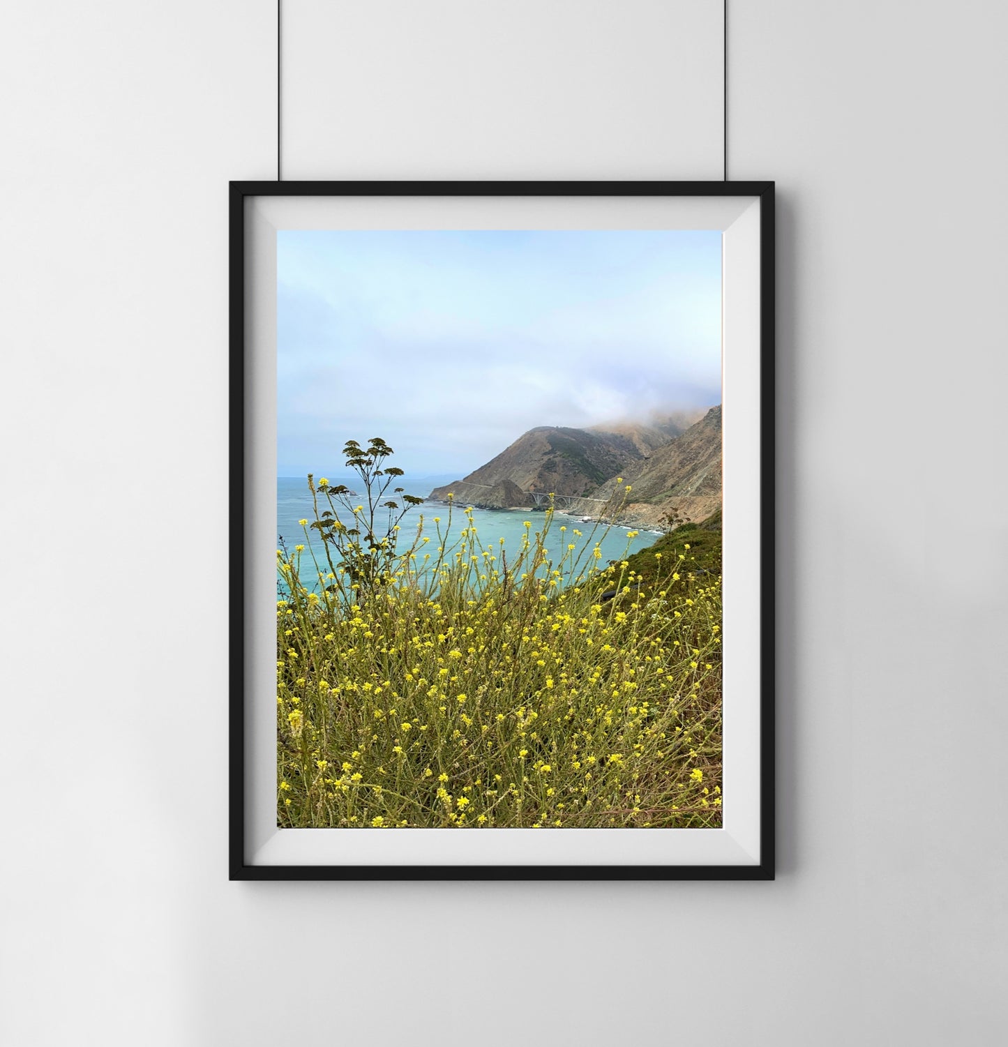 California Flowers - Print