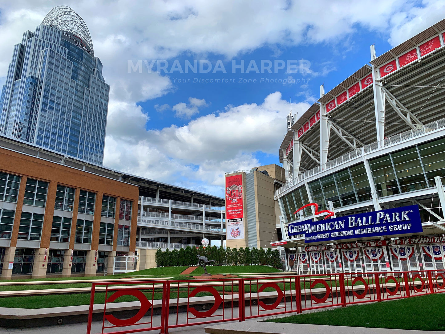 Cincinnati Reds Baseball - Print