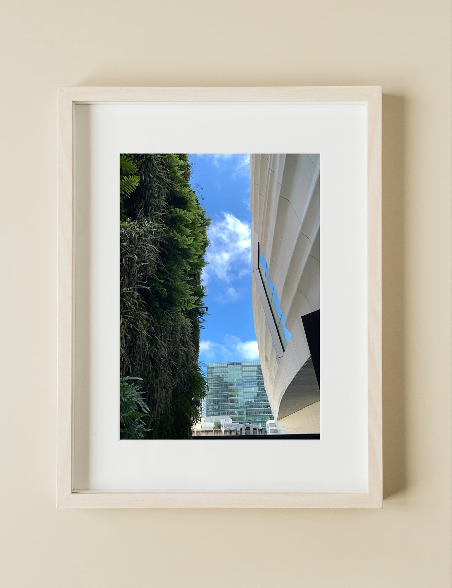 Plant Wall - Print