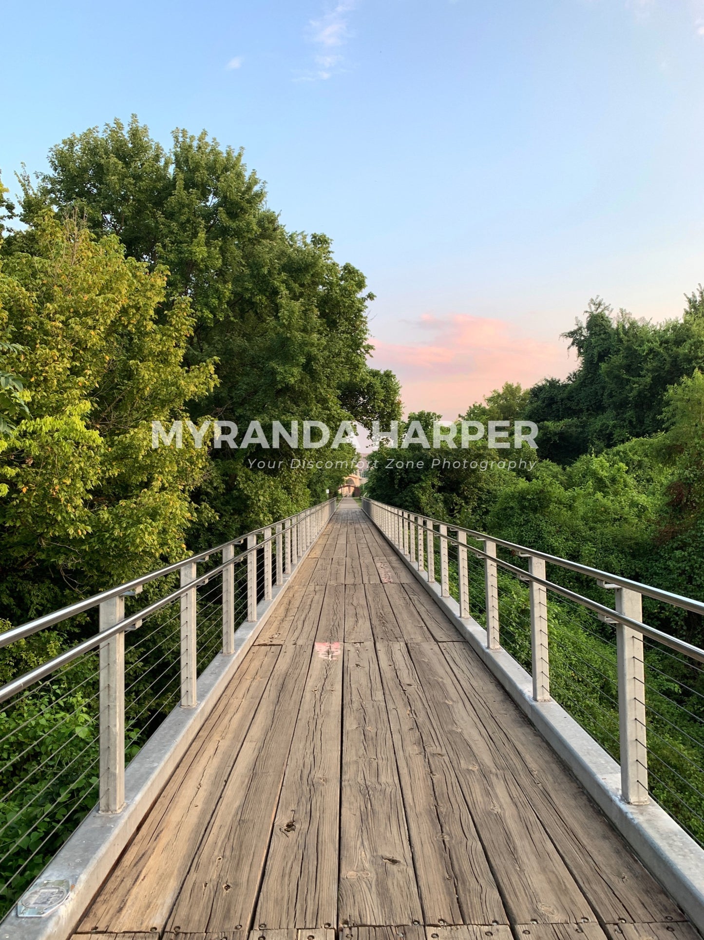 Chattanooga Renaissance Park - Print
