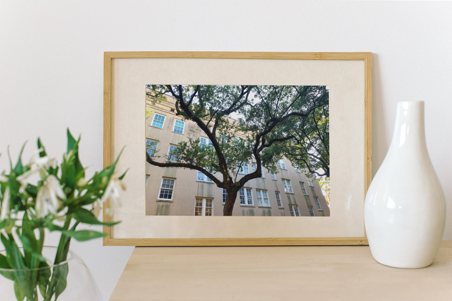 Savannah Tree - Print