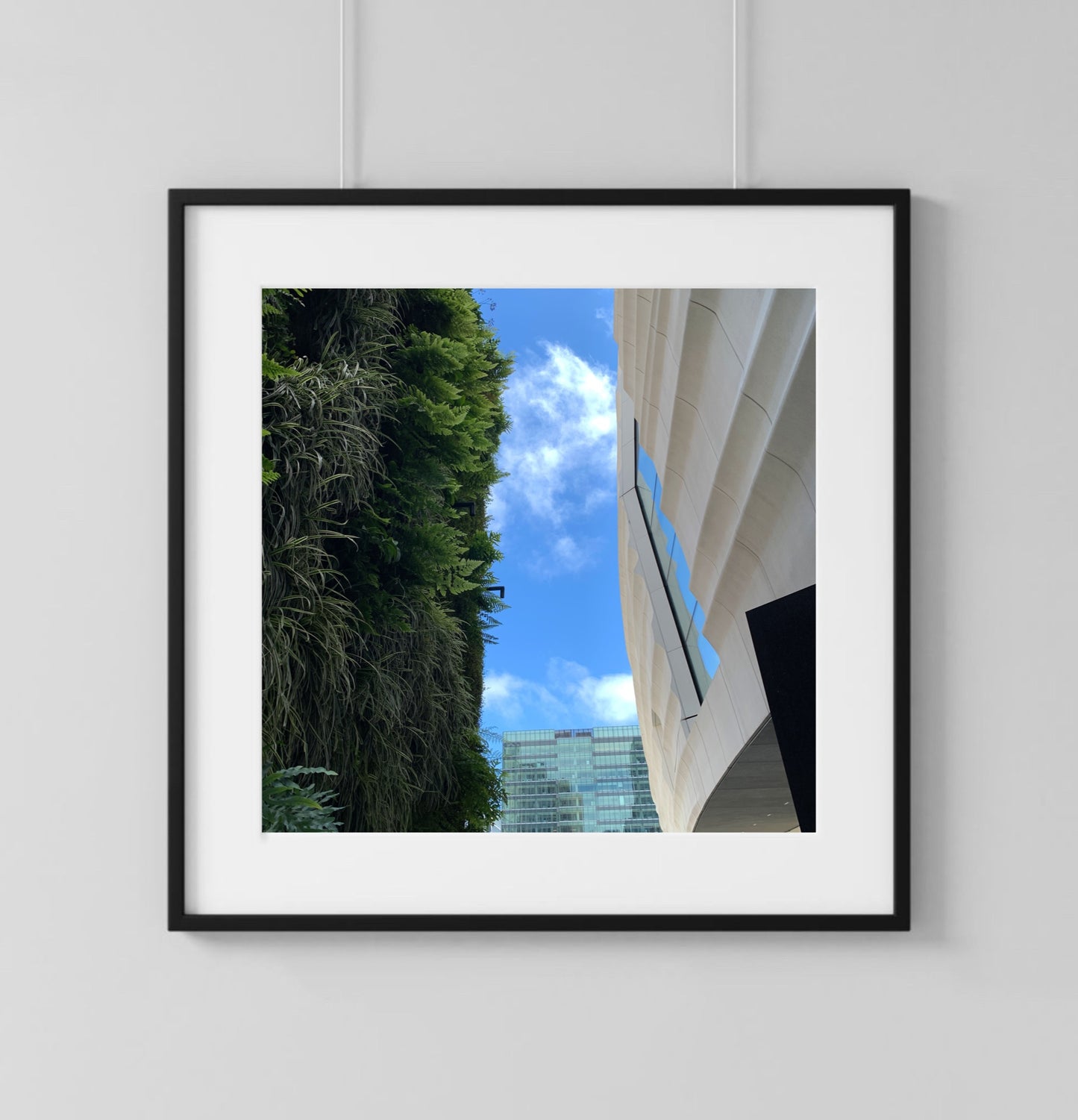 Plant Wall - Print