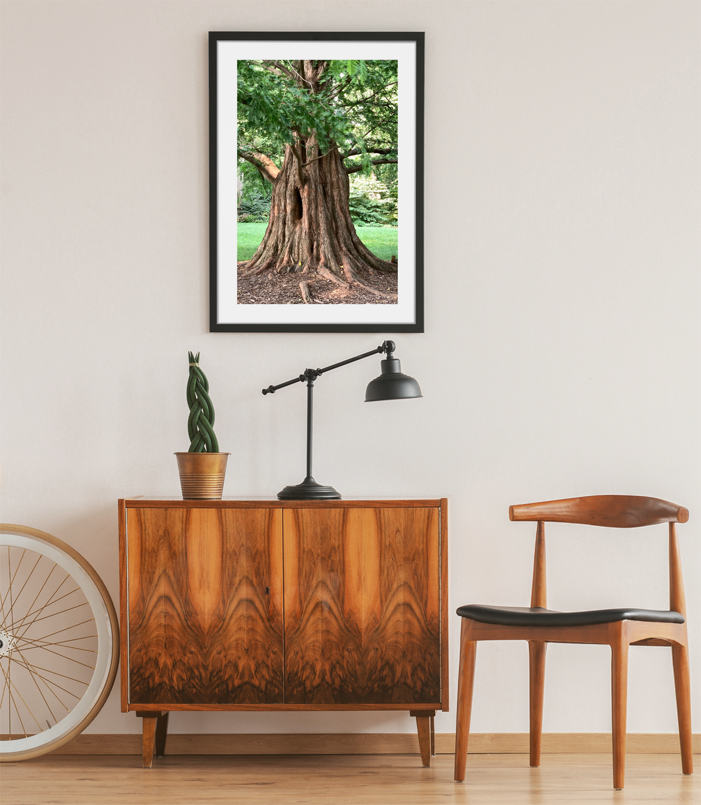 Tree Trunk - Print