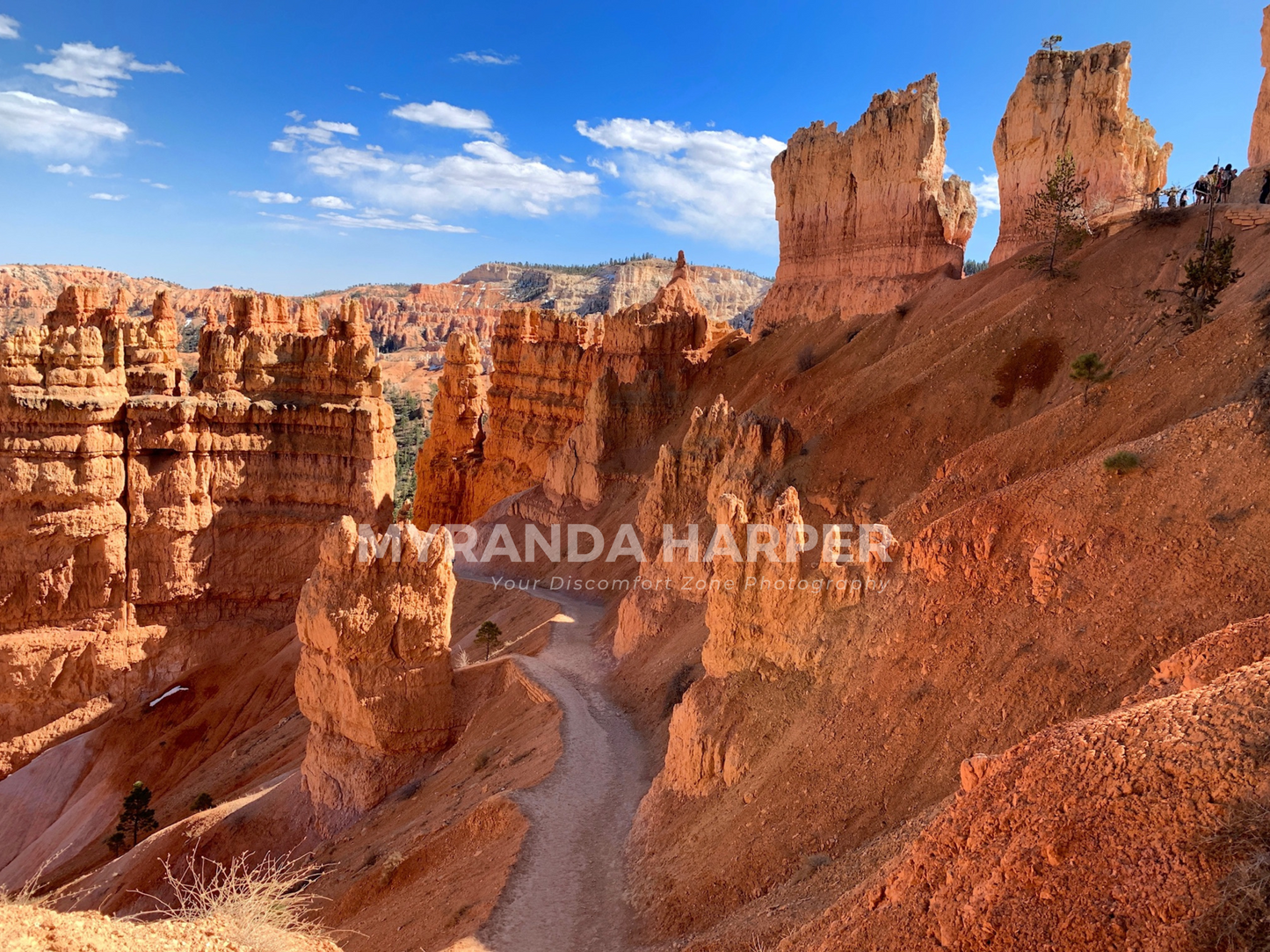 Bryce Canyon Landscape - Print