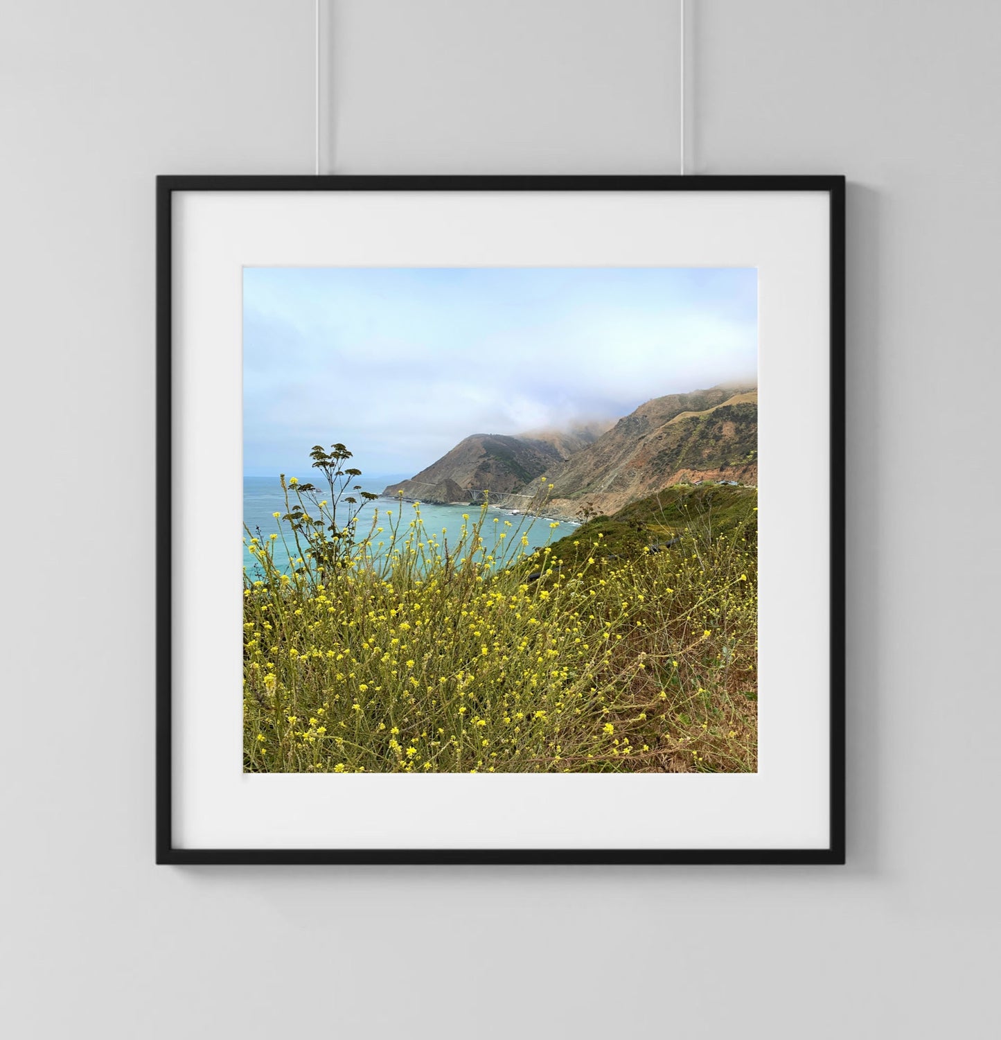 California Flowers - Print