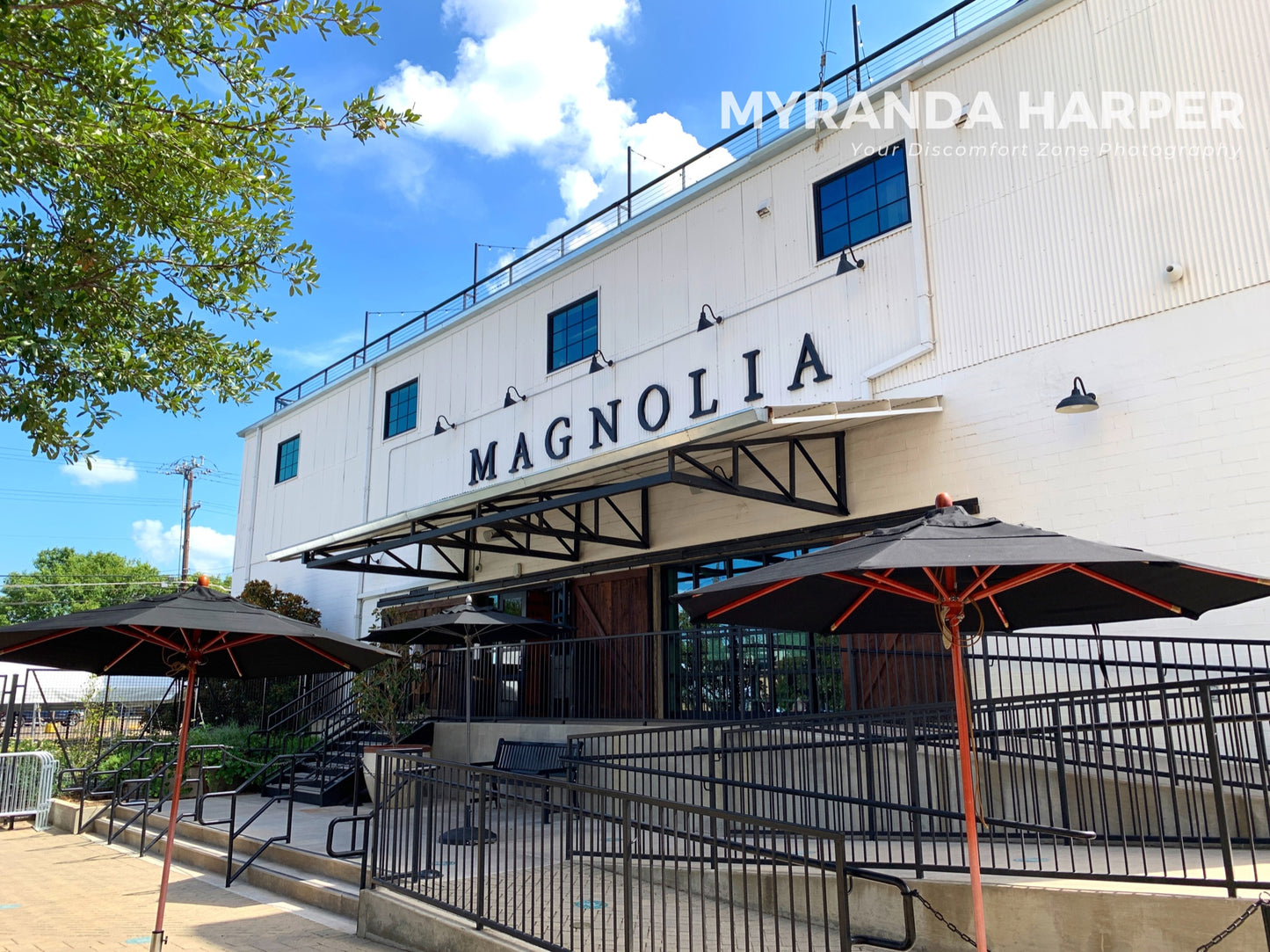 Magnolia - Print