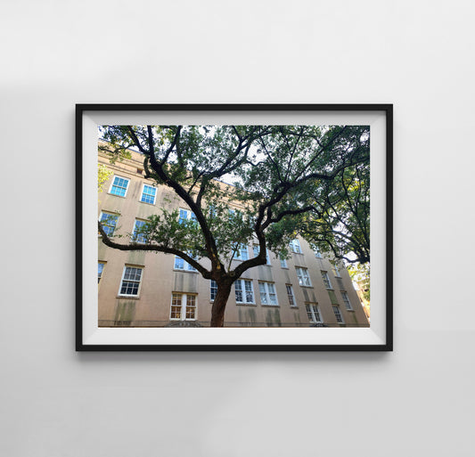 Savannah Tree - Print