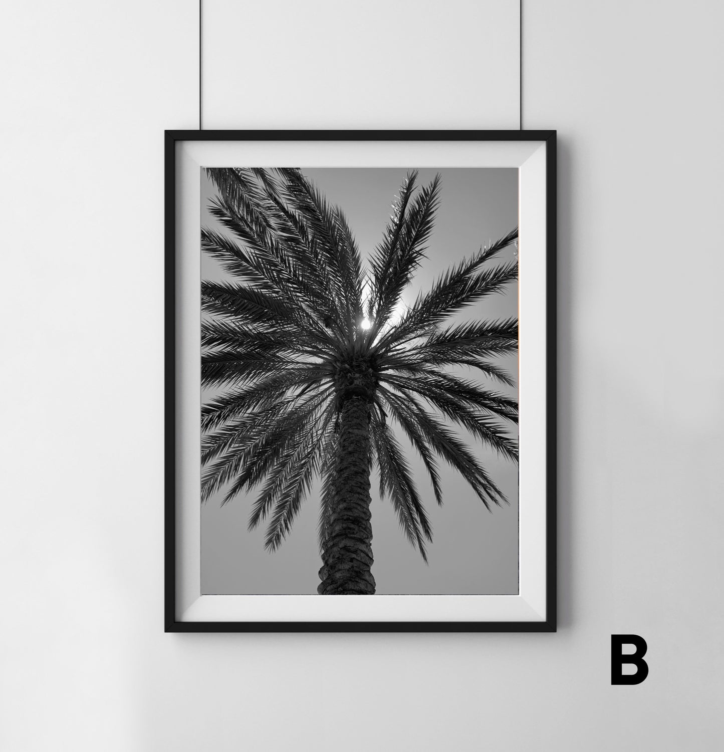 Palm Tree - Print