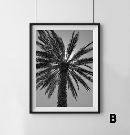 Palm Tree - Print
