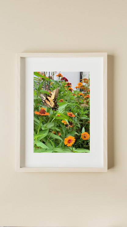 Butterfly - Print