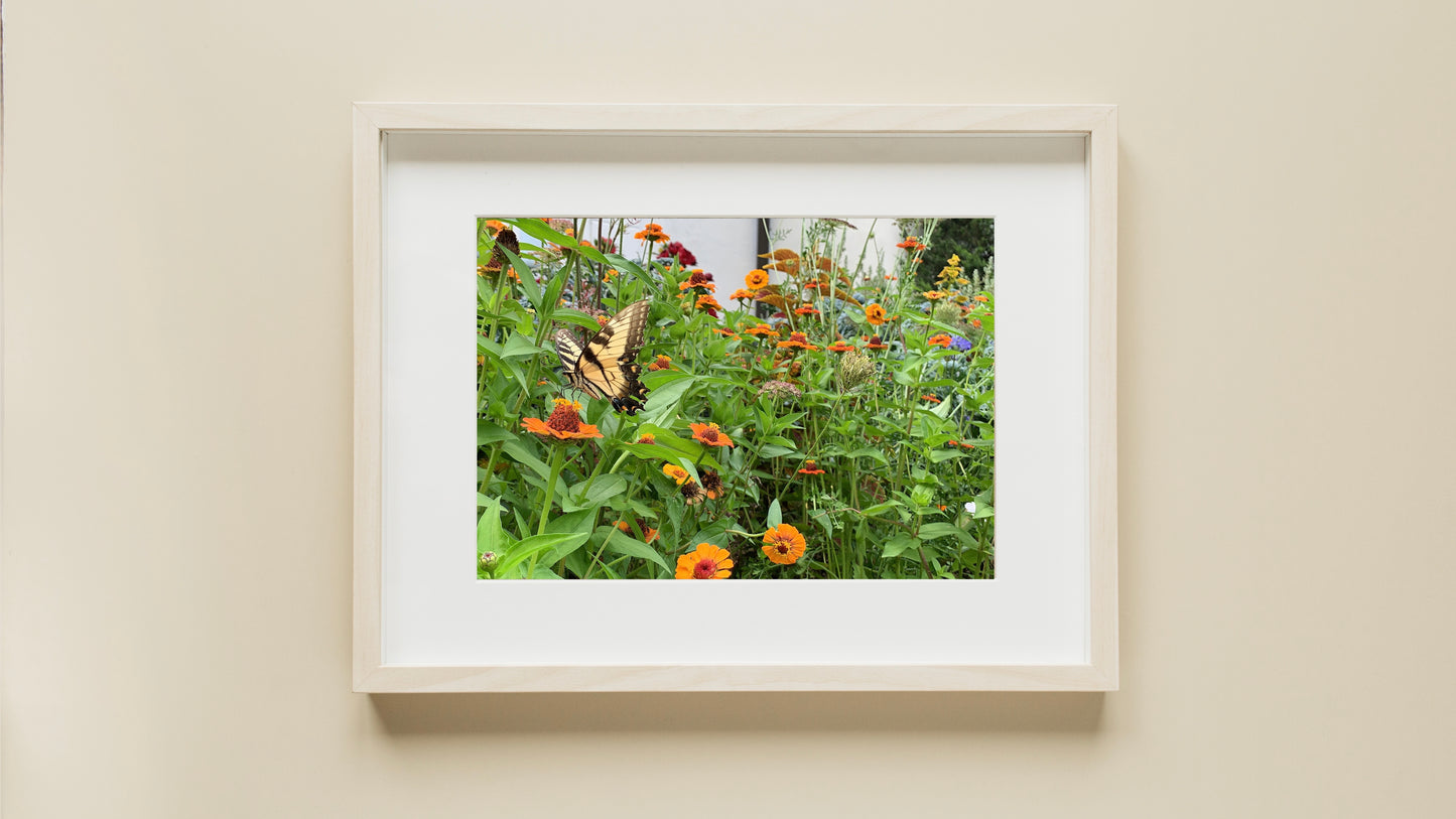 Butterfly - Print