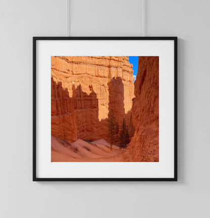 Bryce Canyon Valley - Print
