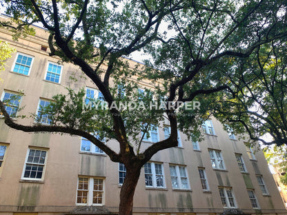 Savannah Tree - Print
