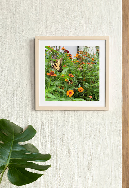 Butterfly - Print