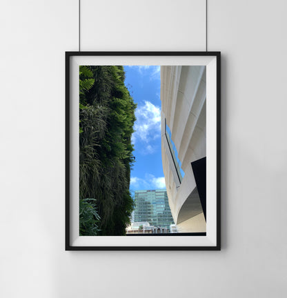 Plant Wall - Print