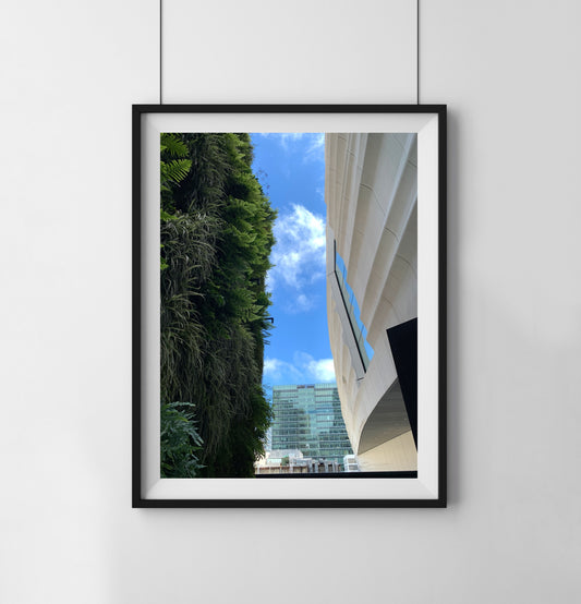 Plant Wall - Print