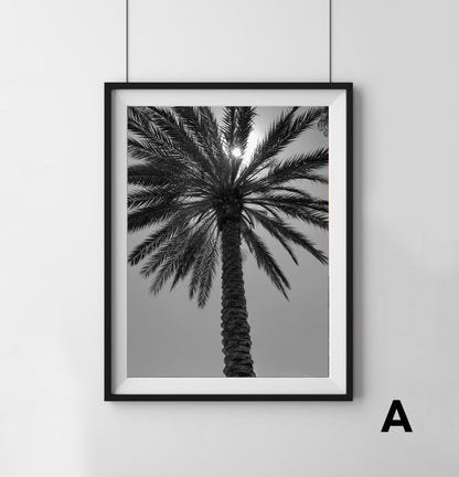 Palm Tree - Print