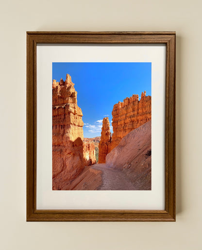Bryce Canyon Path - Print