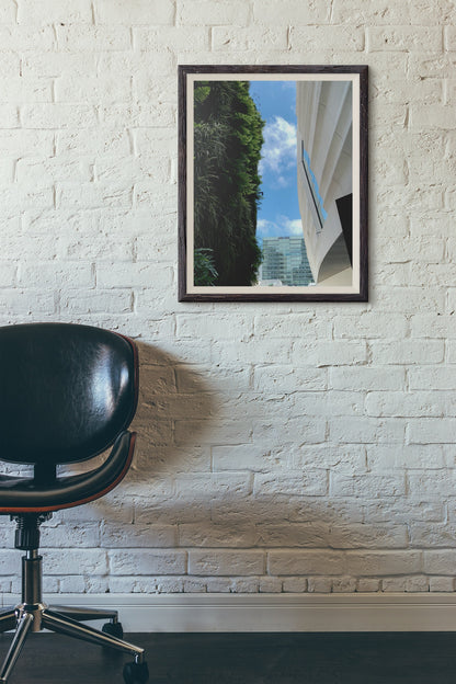Plant Wall - Print