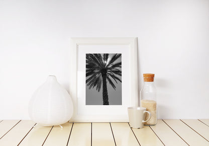 Palm Tree - Print