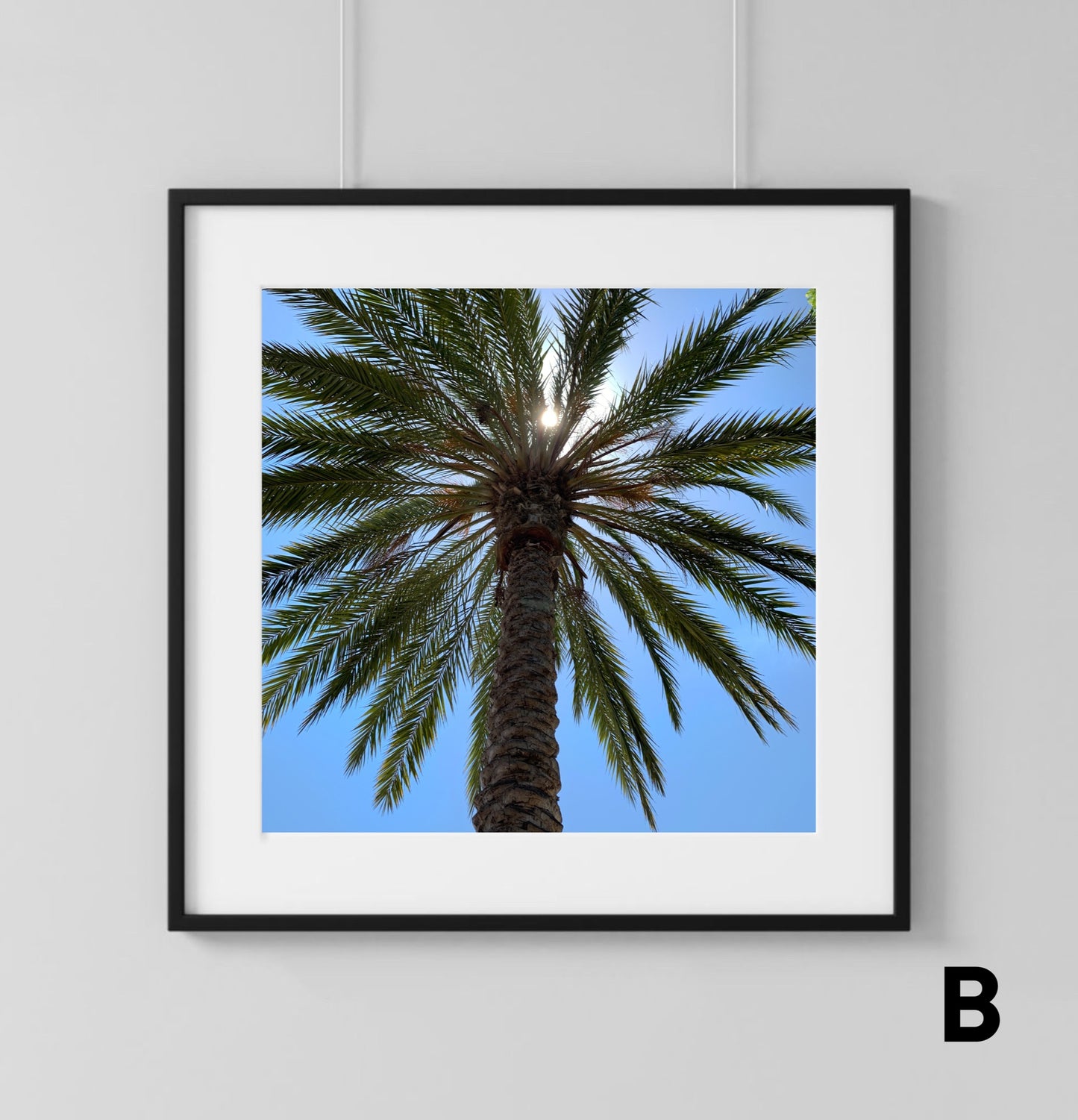 Palm Tree - Print