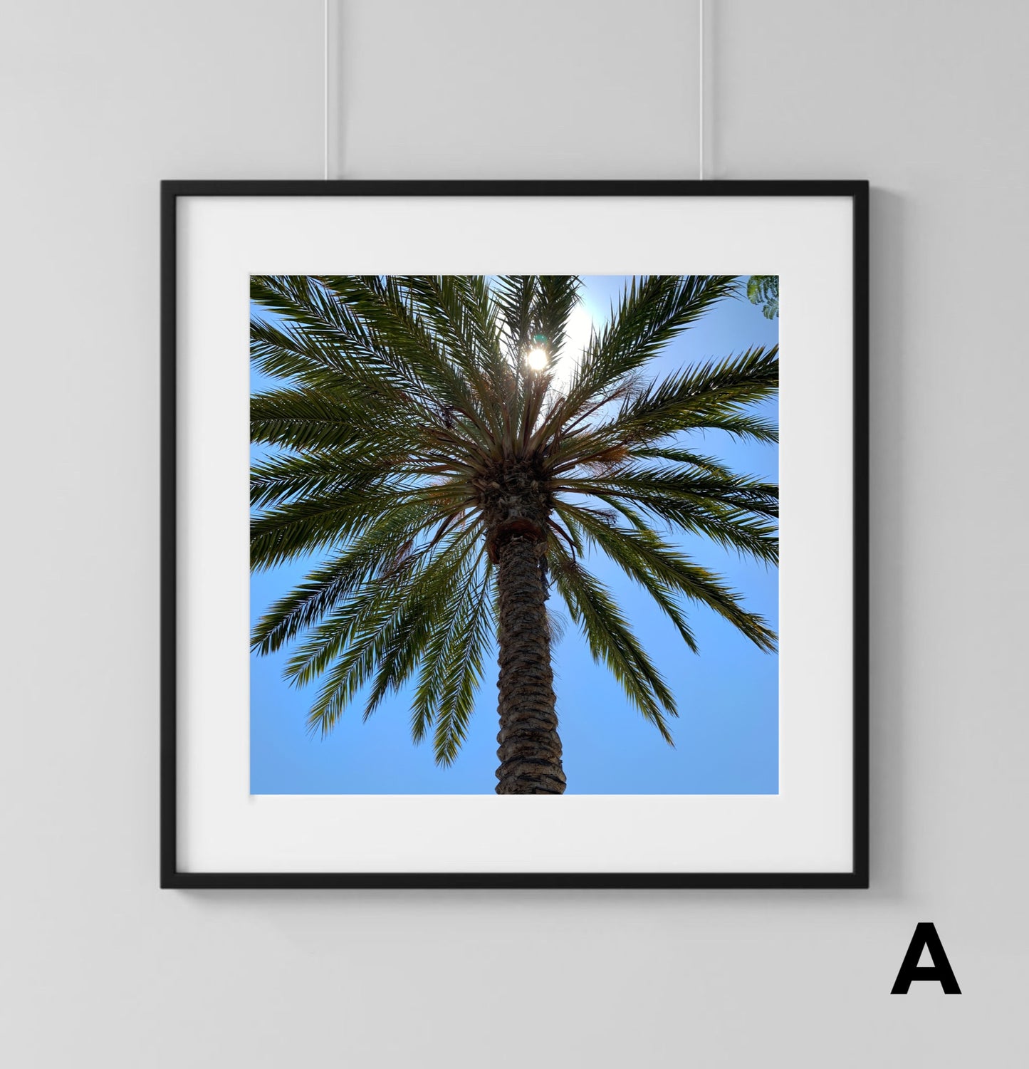 Palm Tree - Print