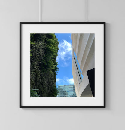 Plant Wall - Print
