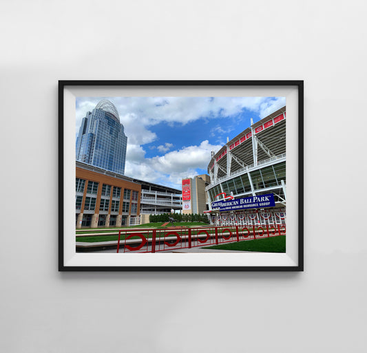 Cincinnati Reds Baseball - Print