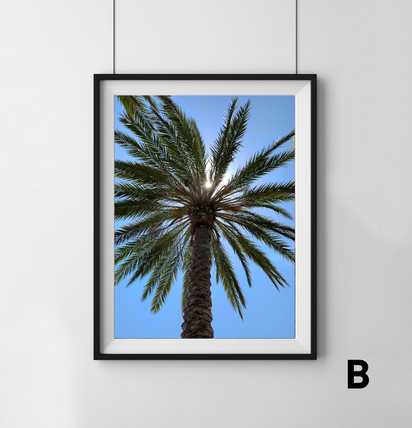 Palm Tree - Print