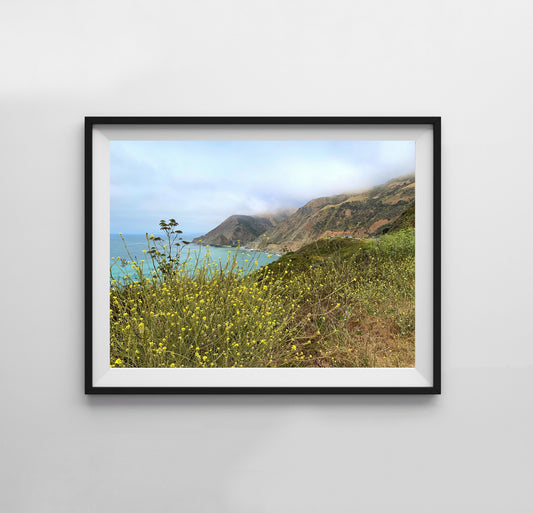 California Flowers - Print